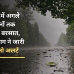 Heavy rain in Haryana for the next three days, Meteorological Department has issued a yellow alert