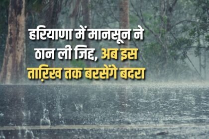 Monsoon has become adamant in Haryana, now it will rain till this date