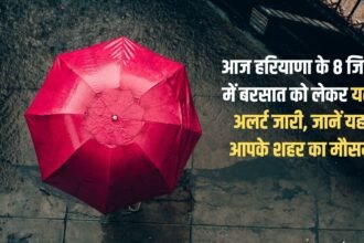 Yellow alert issued for rain in 8 districts of Haryana today, know the weather of your city here