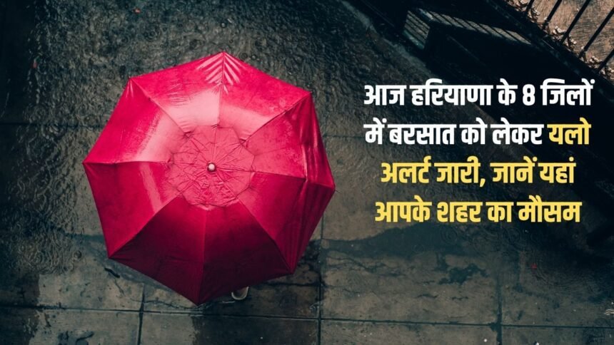 Yellow alert issued for rain in 8 districts of Haryana today, know the weather of your city here