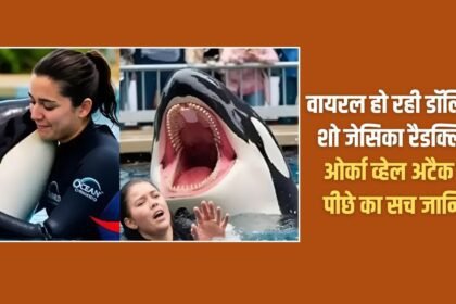 Know the truth behind the viral dolphin show Jessica Radcliffe Orca whale attack