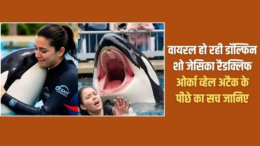 Know the truth behind the viral dolphin show Jessica Radcliffe Orca whale attack