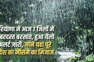 Heavy rain in 7 districts of Haryana today, yellow alert issued, know the weather condition of the entire state here