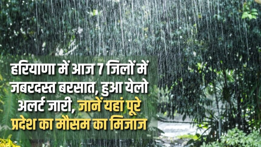 Heavy rain in 7 districts of Haryana today, yellow alert issued, know the weather condition of the entire state here