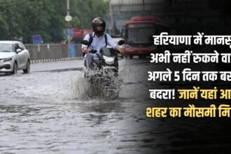 Monsoon is not going to stop in Haryana yet, it will rain for the next 5 days! Know the weather condition of your city here