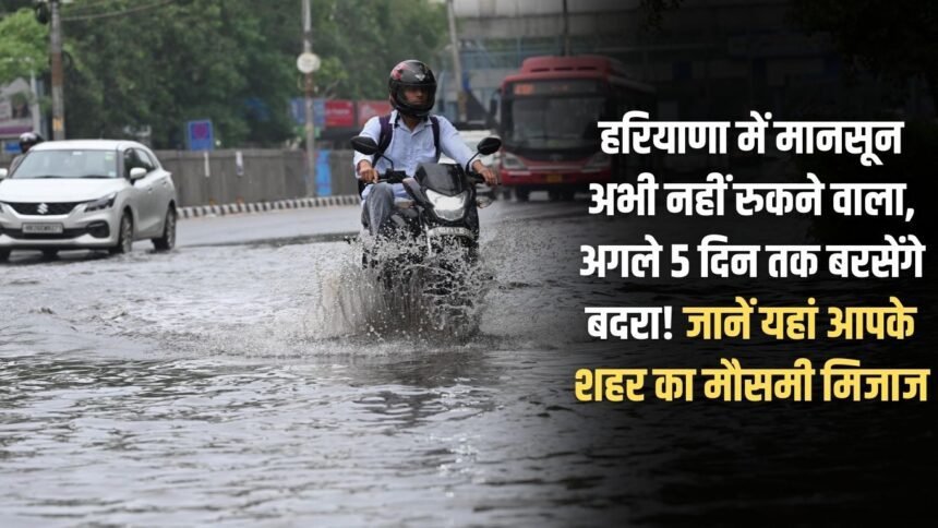 Monsoon is not going to stop in Haryana yet, it will rain for the next 5 days! Know the weather condition of your city here