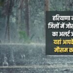 Heavy rain alert issued in 15 districts of Haryana today, know the weather condition of your city here