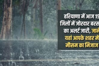 Heavy rain alert issued in 15 districts of Haryana today, know the weather condition of your city here