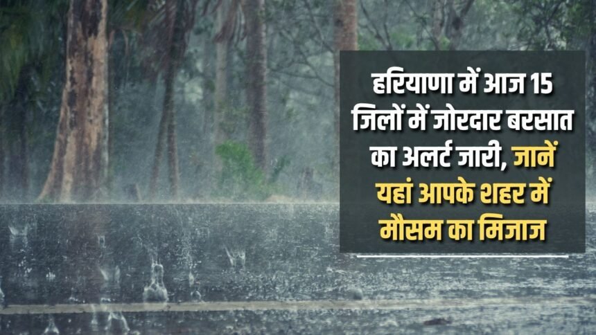 Heavy rain alert issued in 15 districts of Haryana today, know the weather condition of your city here