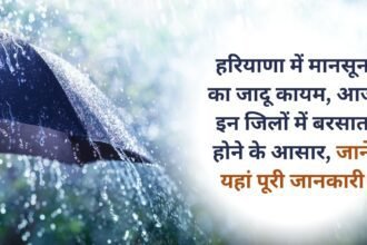 Monsoon magic continues in Haryana, rain is expected in these districts today, know full details here