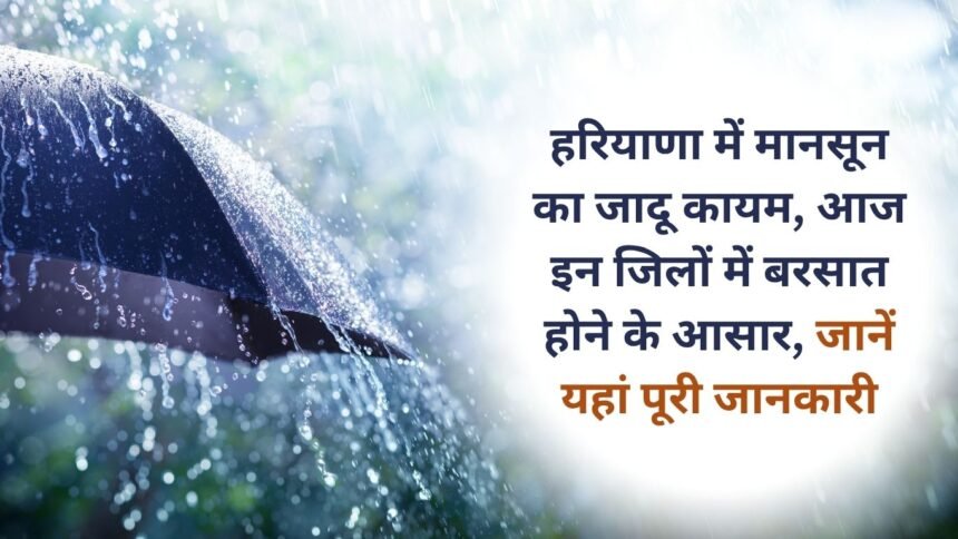 Monsoon magic continues in Haryana, rain is expected in these districts today, know full details here