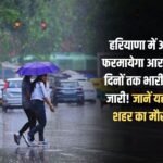 Monsoon will rest in Haryana today, heavy rain alert issued for the next three days! Know the weather condition of your city here today