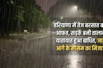 Heavy rains cause havoc in Haryana, roads turn into ponds, traffic disrupted, know the weather forecast for the future