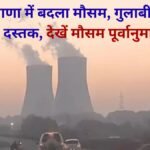 Haryana Weather Change Pink Cold Entry View Forecast