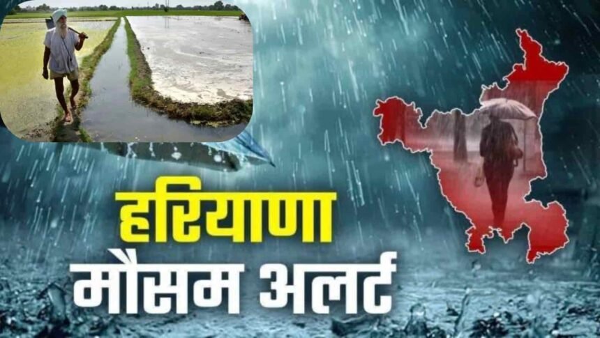 Haryana weather update today aaj ka mausam kal ka mausam