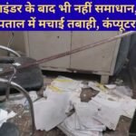 Jind News Monkeys attack Jind Civil Hospital computer records ransacked