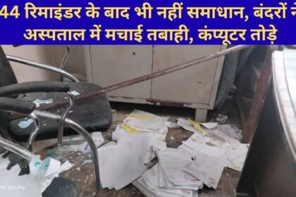 Jind News Monkeys attack Jind Civil Hospital computer records ransacked