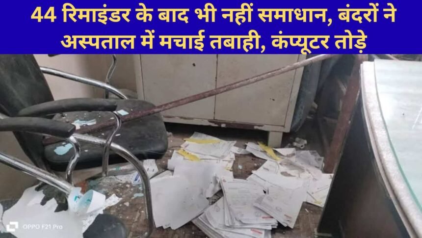 Jind News Monkeys attack Jind Civil Hospital computer records ransacked