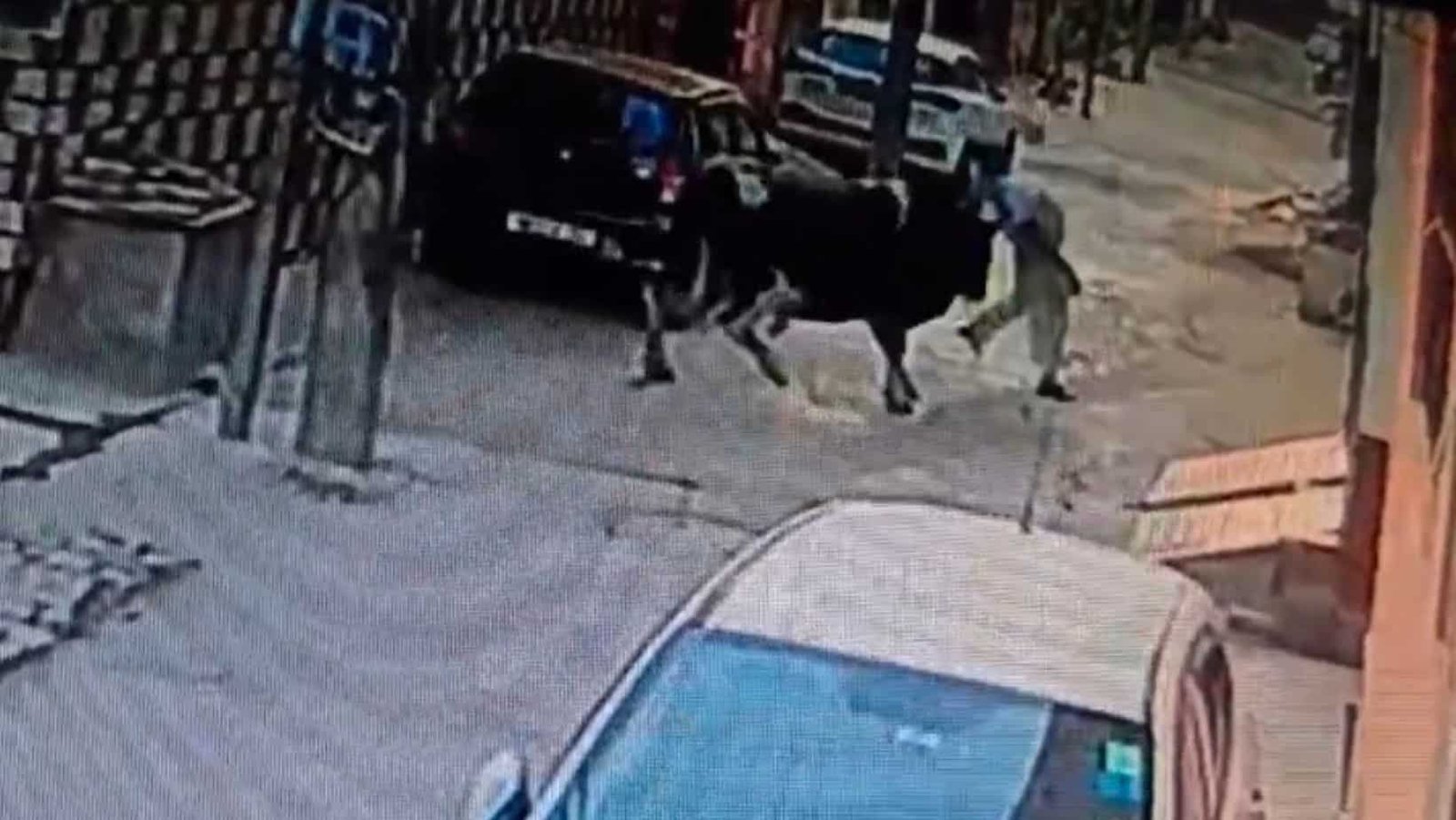 News of Haryana Jind MP JP accident, bull picks up and throws former councilor
