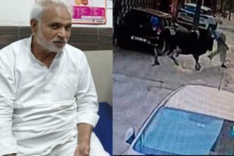 News of Haryana Jind MP JP accident, bull picks up and throws former councilor