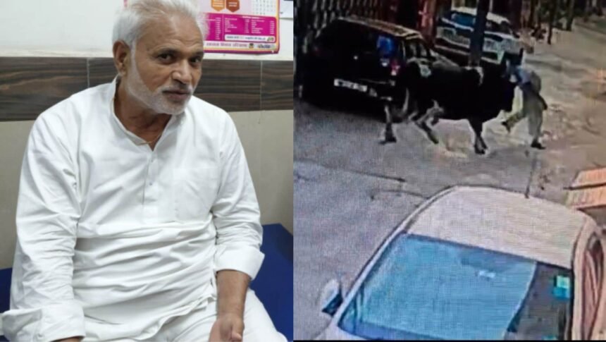News of Haryana Jind MP JP accident, bull picks up and throws former councilor