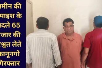 Haryana ACB raid Bhiwani Kanungo caught bribe.