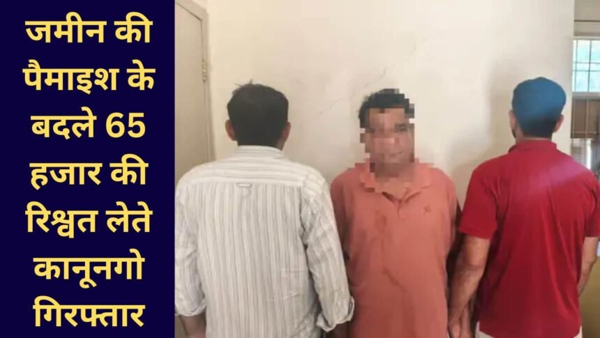 Haryana ACB raid Bhiwani Kanungo caught bribe.
