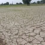 Jind News Electricity demand hits record high