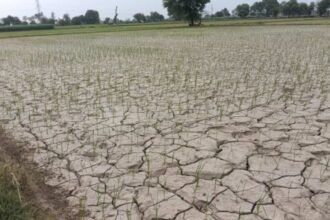 Jind News Electricity demand hits record high