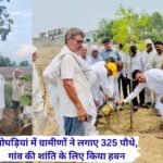 Uchana News ghogrian village tree plantaion