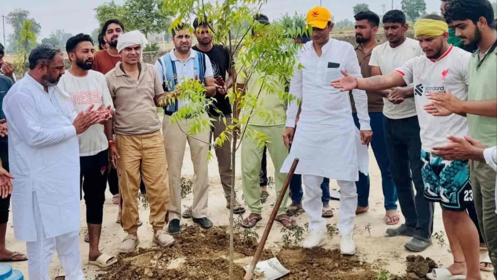 Uchana News ghogrian village tree plantaion