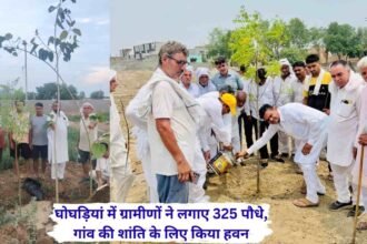 Uchana News ghogrian village tree plantaion